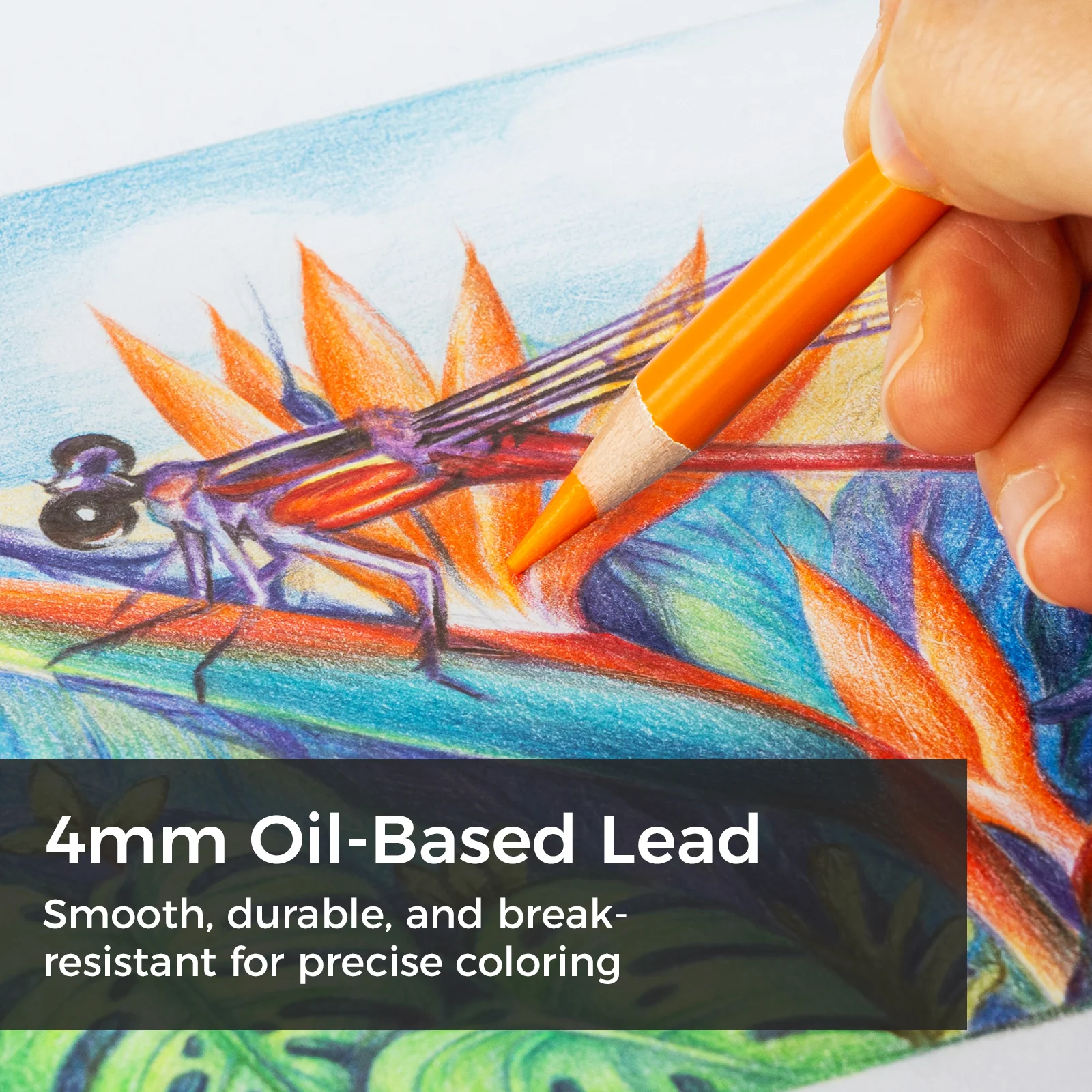 Ohuhu Halawa Series 72 Colors Oil-based Colored Pencils - Image 2